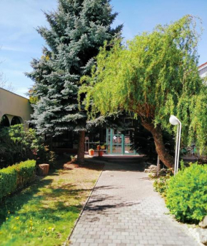 Отель Motel Vega  Сезимово Усти